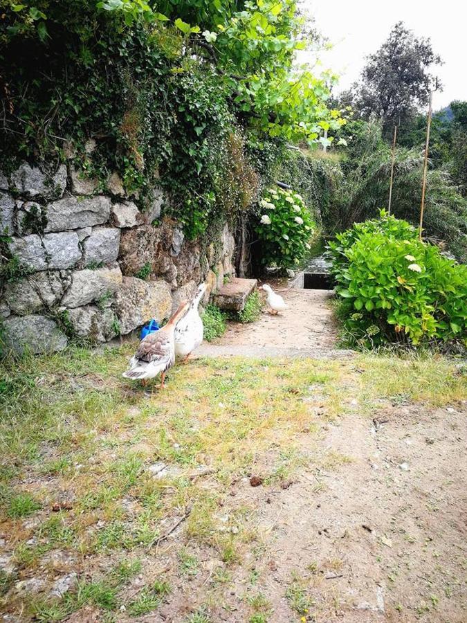 Casa Do Palheiro Villa Covelas  ภายนอก รูปภาพ