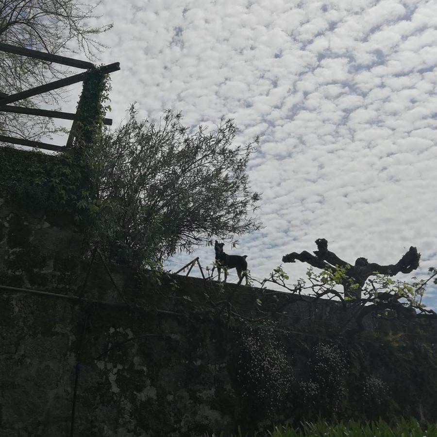 Casa Do Palheiro Villa Covelas  ภายนอก รูปภาพ